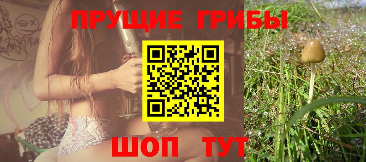 Псилоцибиновые грибы Psilocybe  Псилоцибиновые грибы ЛСД  Вход с VPN  Бузулук 